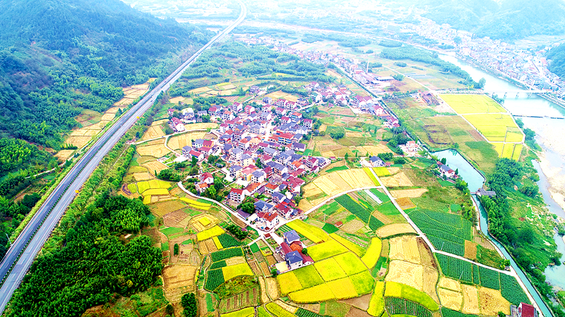 现场教学